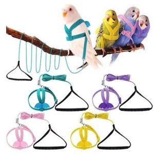 Juguetes para aves