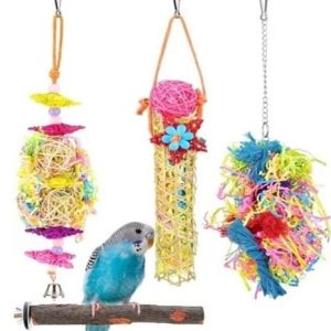 Accesorios para aves